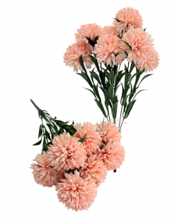 Krizantémcsokor / 40cm. 7 főszál Lazacbarack