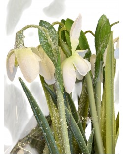 Hóvirág kaspóban / 25cm. 5 szál-Jeges 