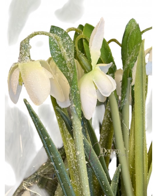 Hóvirág kaspóban / 25cm. 5 szál-Jeges 