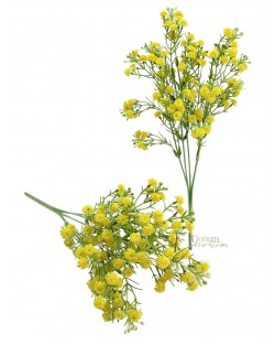 Gypsophila csokor / 35cm. 5 főszál Sárga Gypsophila csokor / 35cm. 5 főszál Sárga