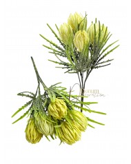 Bársonyporos protea csokor / 30cm. Pasztellsárga