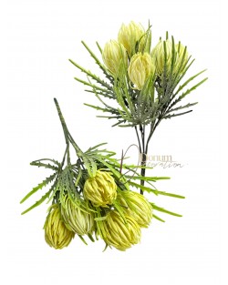 Bársonyporos protea csokor / 30cm. Pasztellsárga