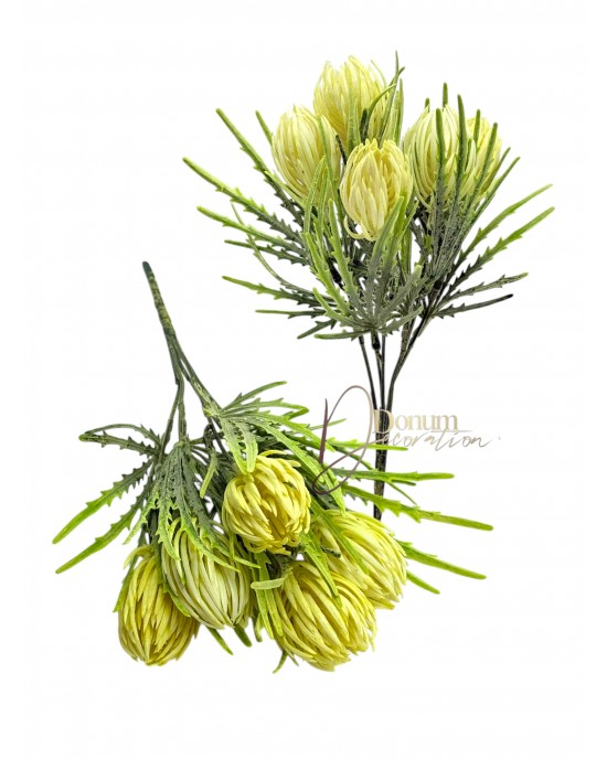 Bársonyporos protea csokor / 30cm. Pasztellsárga