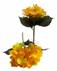 Hortenzia gally / 35cm.