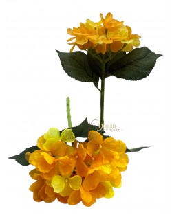 Hortenzia gally / 35cm.
