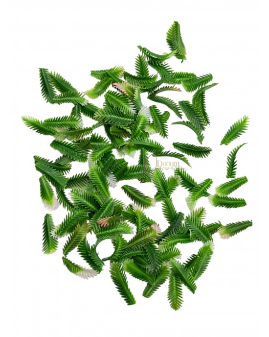 Kiegészítő levél / 100 db. 3cm. Halványrózsaszín vég