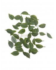 Kiegészítő levél / 50db. 2.5-3.5cm. Zúzmarás