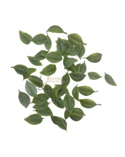 Kiegészítő levél / 50db. 2.5-3.5cm. Zúzmarás Kiegészítő levél / 50db. 2.5-3.5cm. Zúzmarás