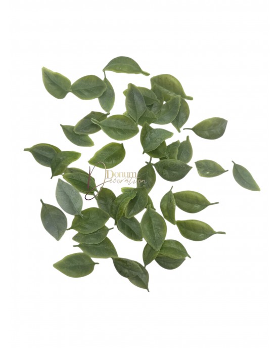 Kiegészítő levél / 50db. 2.5-3.5cm. Zúzmarás