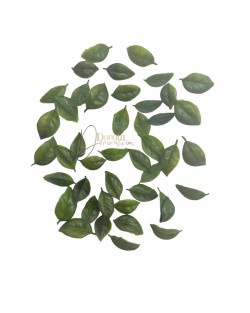 Kiegészítő levél / 50db. 2.5-3.5cm. Zöld Kiegészítő levél / 50db. 2.5-3.5cm. Zöld