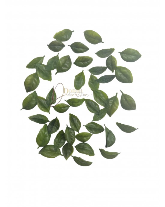Kiegészítő levél / 50db. 2.5-3.5cm. Zöld