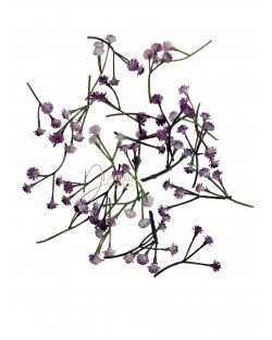 Kiegészítő növény-Gypsophila / 30db. (90fej-1cm.) Bíborlila Kiegészítő növény-Gypsophila / 30db. (90fej-1cm.) Bíborlila