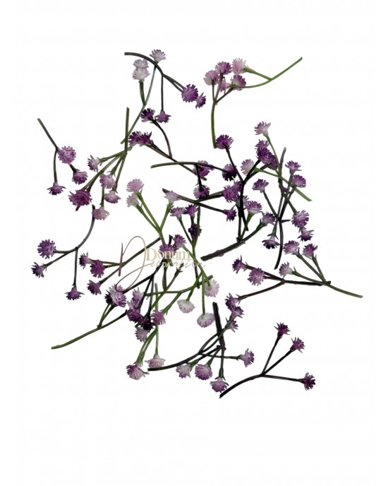 Kiegészítő növény-Gypsophila / 30db. (90fej-1cm.) Bíborlila