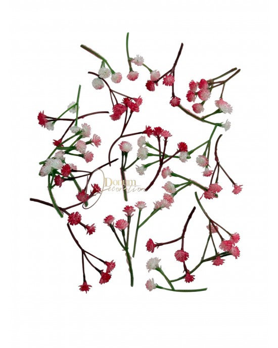 Kiegészítő növény-Gypsophila / 30db. (90fej-1cm.) Antikpiros
