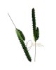 Kaktusz / 20cm.(12cm) Gumis Kaktusz / 20cm.(12cm) Gumis