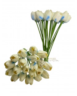 Habgumi Tulipán / 20 szál- Levél nélküli