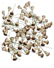 Gomba betűző / 2cm.