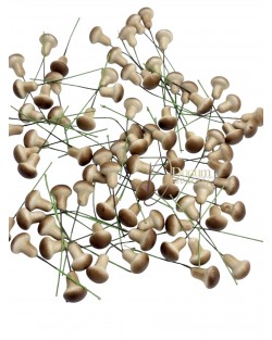 Gomba betűző / 2cm. Gomba betűző / 2cm.
