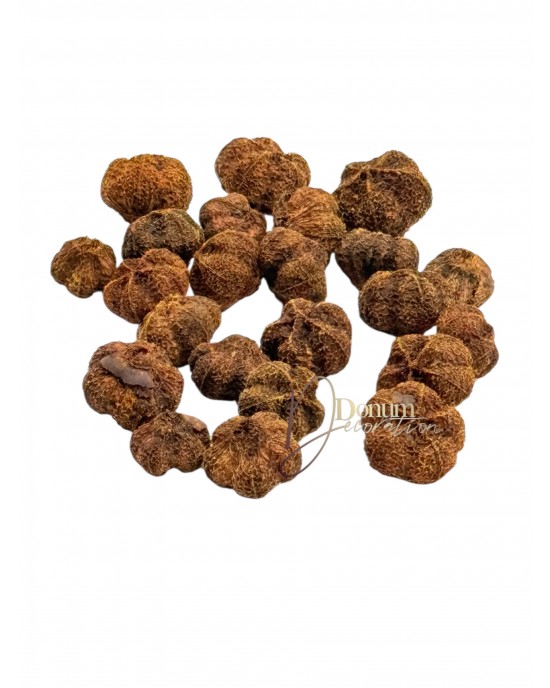 Szárított termés - Fokhagyma / 50g. Sötétbarna