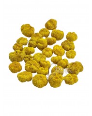 Szárított termés - Fokhagyma / 50g. Sárga