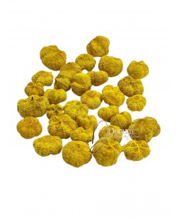 Szárított termés - Fokhagyma / 50g. Sárga