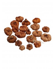 Szárított termés - Fokhagyma / 50g. Fakó narancsosbézs 