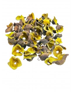 Szárított termés-Zen / 50g.