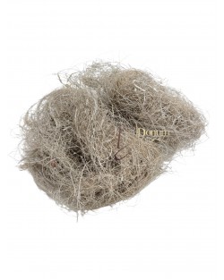 Kókusz kóc / 50g.