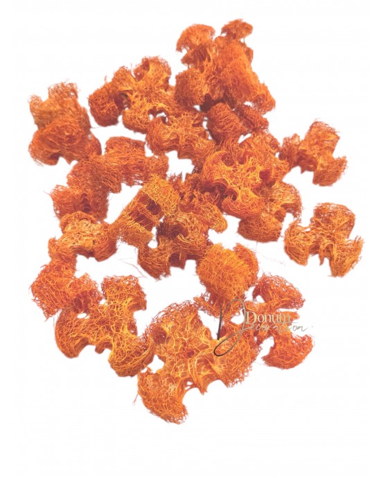 Luffa / 30g. Luffa / 30g.