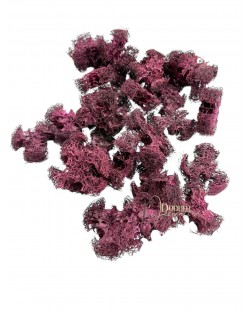 Luffa / 30g.
