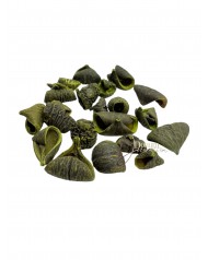 Szárított termés-Laly / 50g.