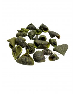 Szárított termés-Laly / 50g.