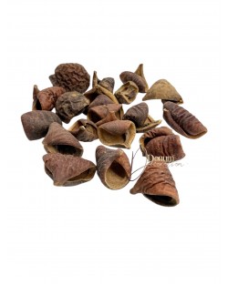 Szárított termés-Laly / 50g.