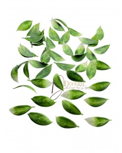 Kiegészítő levél / 50db. 3.5cm. Zöld-zúzmarás Kiegészítő levél / 50db. 3.5cm. Zöld-zúzmarás