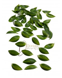 Kiegészítő levél / 50db. 4cm. Zöld Kiegészítő levél / 50db. 4cm. Zöld