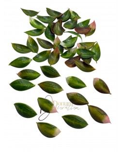 Kiegészítő levél / 50db. 4cm. Pirosas Kiegészítő levél / 50db. 4cm. Pirosas