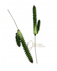 Kaktusz / 17cm.(10cm) Gumis
