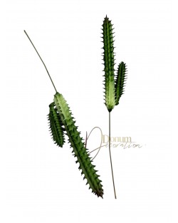 Kaktusz / 17cm.(10cm) Gumis