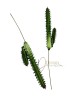Kaktusz / 17cm.(10cm) Gumis Kaktusz / 17cm.(10cm) Gumis