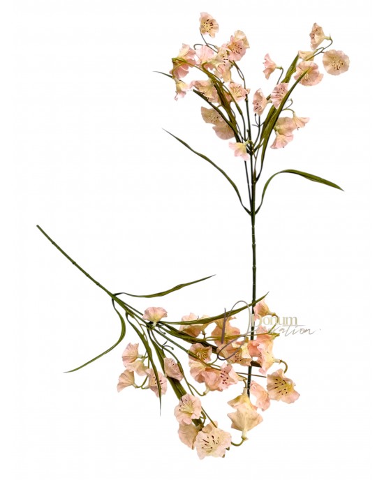 Asztromélia  / 53 cm. Barackosrózsaszín