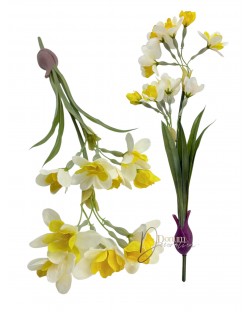 Nárcisz hagymával / 41cm.  8+2fej Fehér-sárga belső 
