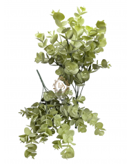 Eukaliptuszcsokor / 33cm. 5 főszál Antikolt Avokádózöld
