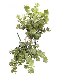 Eukaliptuszcsokor / 33cm. 5 főszál Antikolt Avokádózöld Eukaliptuszcsokor / 33cm. 5 főszál Antikolt Avokádózöld