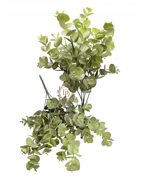 Eukaliptuszcsokor / 33cm. 5 főszál Antikolt Avokádózöld