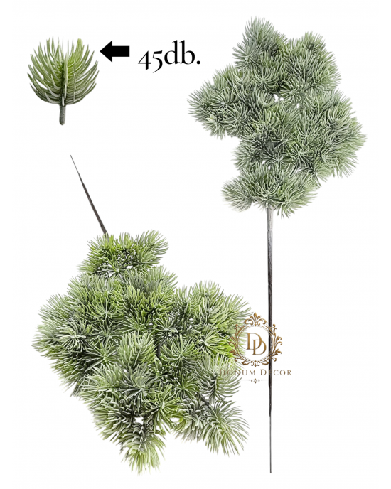 Cédrus gally / 43 cm. 44db. cédrussal  