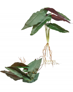 Gyökeres begónia levél / 32cm. Zöld-Viaszos
