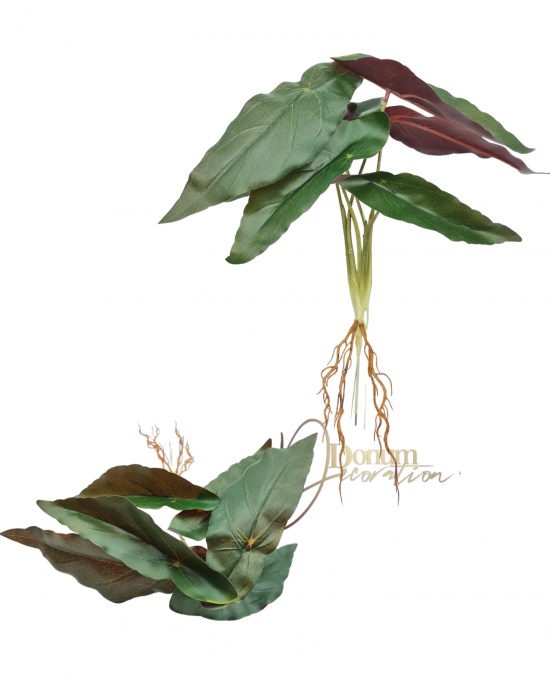 Gyökeres begónia levél / 32cm. Zöld-Viaszos