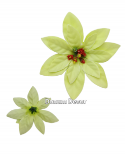 Mikulásvirág / 8-9cm. Világoszöld Mikulásvirág / 8-9cm. Világoszöld