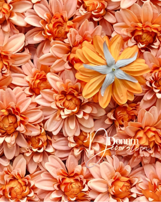 Dalia / 10cm. Fakónarancs
