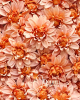 Dalia / 10cm. Fakónarancs